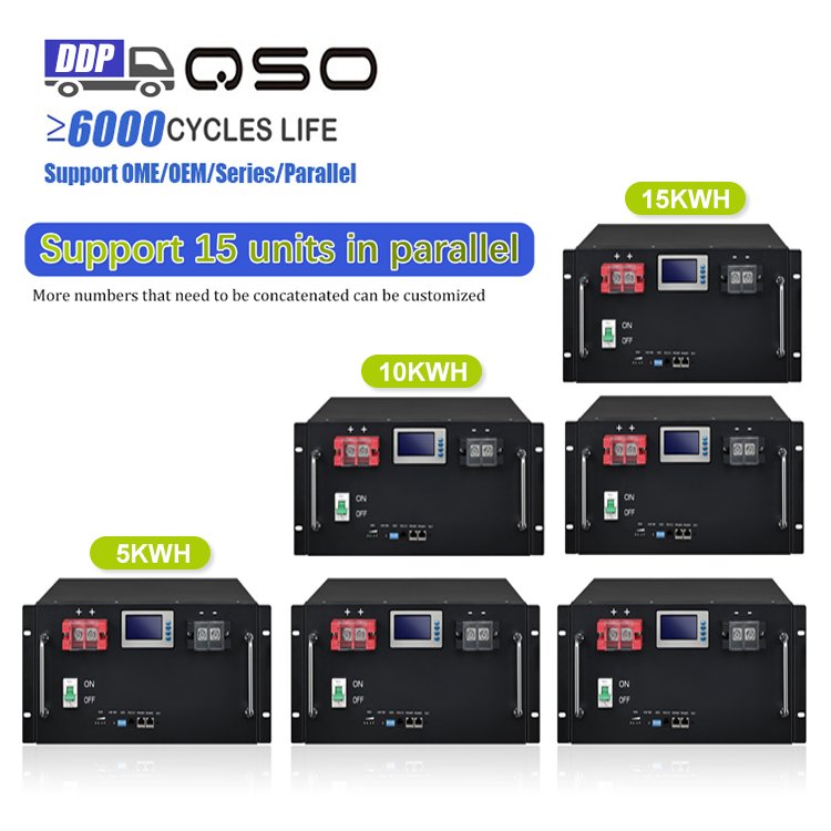 Rackmount 48V Lifepo4 100Ah 200Ah 300Ah 51.2 48 V Volt 15Kw 10Kwh Solar 51.2v 15Kwh Lithium Iron Phosphate Server Rack Battery